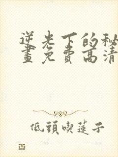 逆光下的秘密漫画免费高清