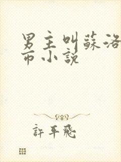 男主叫苏洛的都市小说