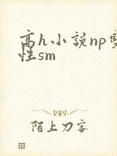 高h小说np双性sm封面
