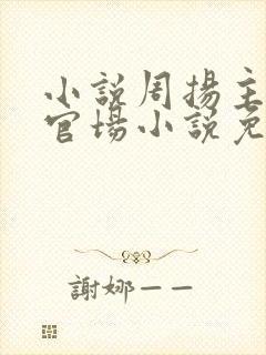 小说周扬主角的官场小说免费阅读