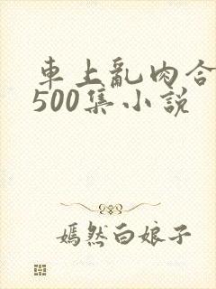 车上乱肉合集乱500集小说封面
