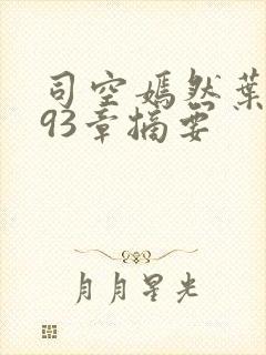 司空嫣然叶凡093章摘要封面