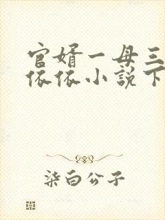 官婿一母三女柳依依小说下载封面