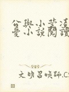 公与小莹凌晨欢爱小说阅读最新章节封面