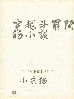 穿越斗罗开后宫的小说