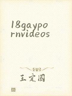 18gaypornvideos