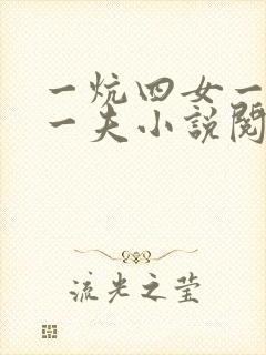 一炕四女一共侍一夫小说阅读