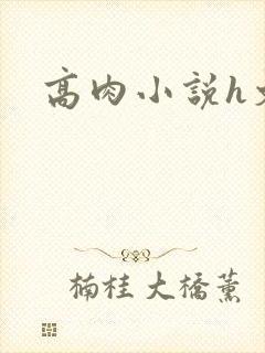 高肉小说h文封面