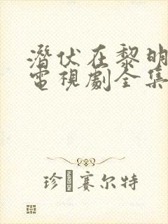 潜伏在黎明之前电视剧全集免费观看