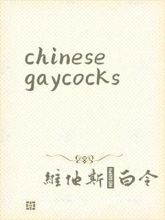chinesegaycocks