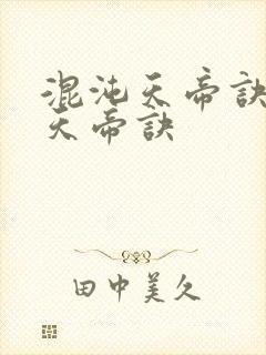 混沌天帝诀混沌天帝诀封面