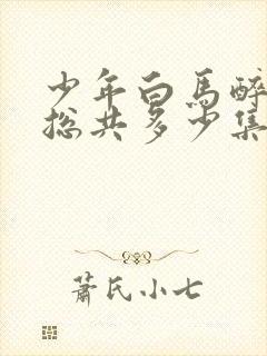 少年白马醉春风总共多少集