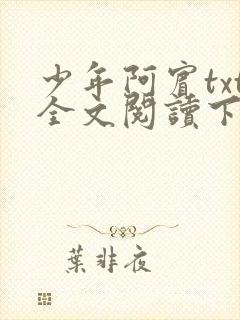少年阿宾txt全文阅读下载