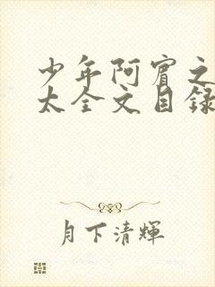 少年阿宾之房东太全文目录