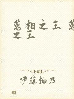 万相之王 万相之王