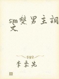 sm双男主调教文封面