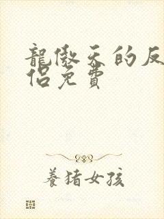 龙傲天的反派道侣免费