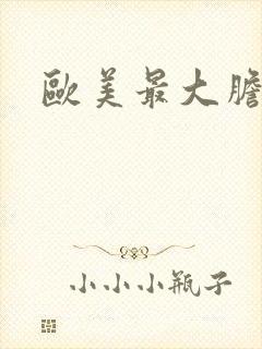 欧美最大胆裸体