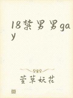 18禁男男gay封面