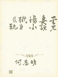 《职场妻子的出轨》小说免费阅读