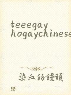 teeegayhogaychinesexxxxvideso封面