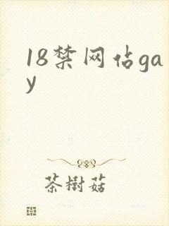 18禁网站gay