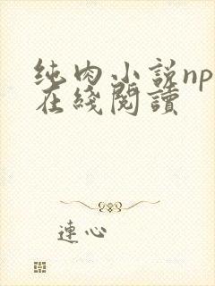 纯肉小说np文在线阅读