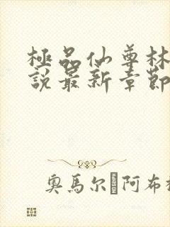 极品仙尊林飞小说最新章节