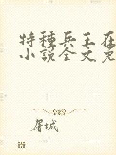 特种兵王在山村小说全文免费阅读