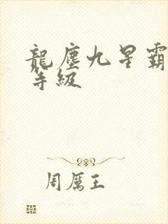 龙尘九星霸体诀等级