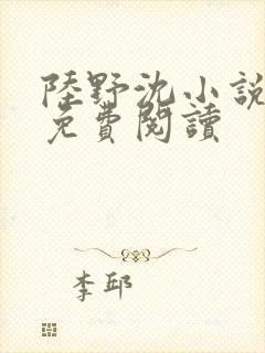 陆野沈小说全文免费阅读封面