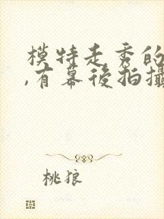 模特走秀的视频,有幕后拍摄封面