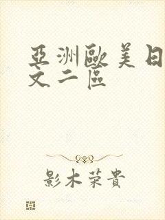 亚洲欧美日韩中文二区