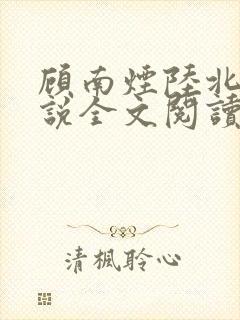 顾南烟陆北城小说全文阅读