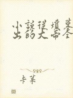 小说从坟墓中爬出的大帝全文阅读