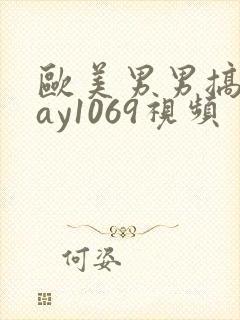 欧美男男搞基gay1069视频