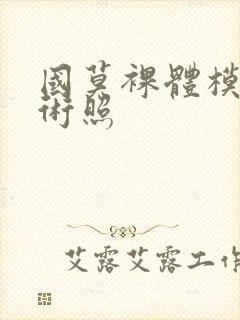 国莫裸体模特艺术照