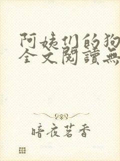 阿姨们的狗小说全文阅读无弹窗封面