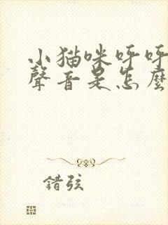 小猫咪呼呼呼的声音是怎么了封面