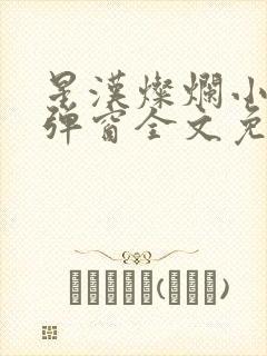 星汉灿烂小说无弹窗全文免费阅读封面