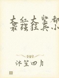 大红大紫都市之最强狂兵小说封面