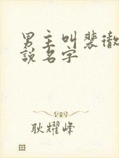 男主叫裴彻的小说名字封面