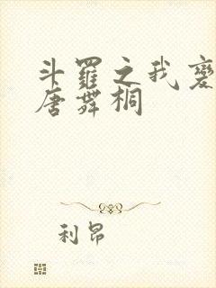 斗罗之我变成了唐舞桐