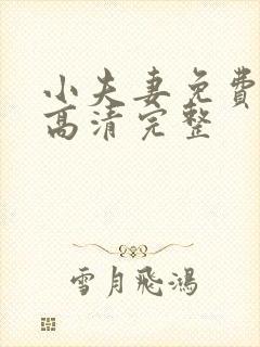 小夫妻免费全集高清完整封面