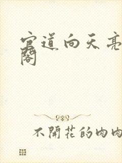 官道向天亮笔趣阁