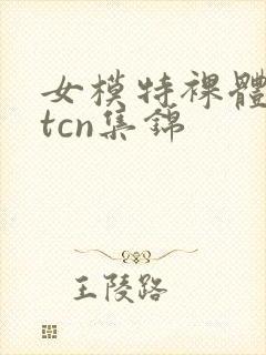 女模特裸体metcn集锦