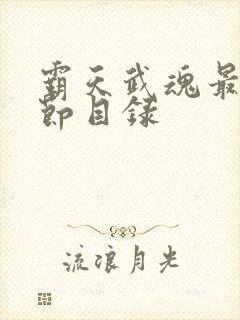 霸天武魂最新章节目录