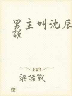 男主叫沈辰的小说