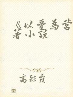 《以爱为营》原著小说封面