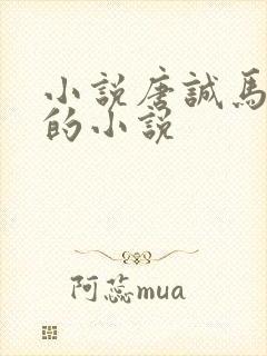 小说唐诚马玉婷的小说